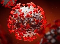Когда закончится эпидемия коронавируса: прогнозы экспертов