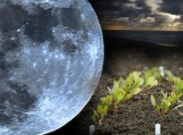 Лунный календарь садовода на март 2018