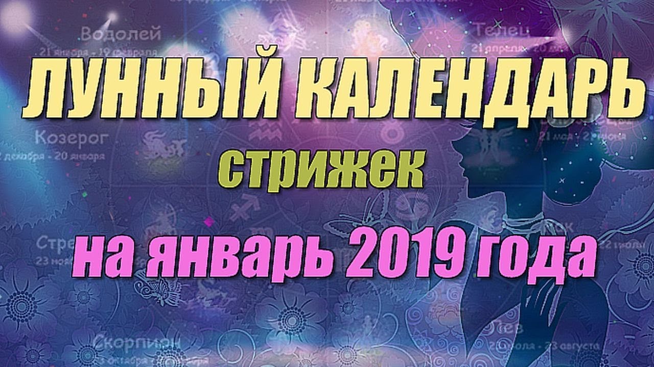 Картинки символ года 2019 Собака изображения Картинки символ года 2019 Собака изоражения