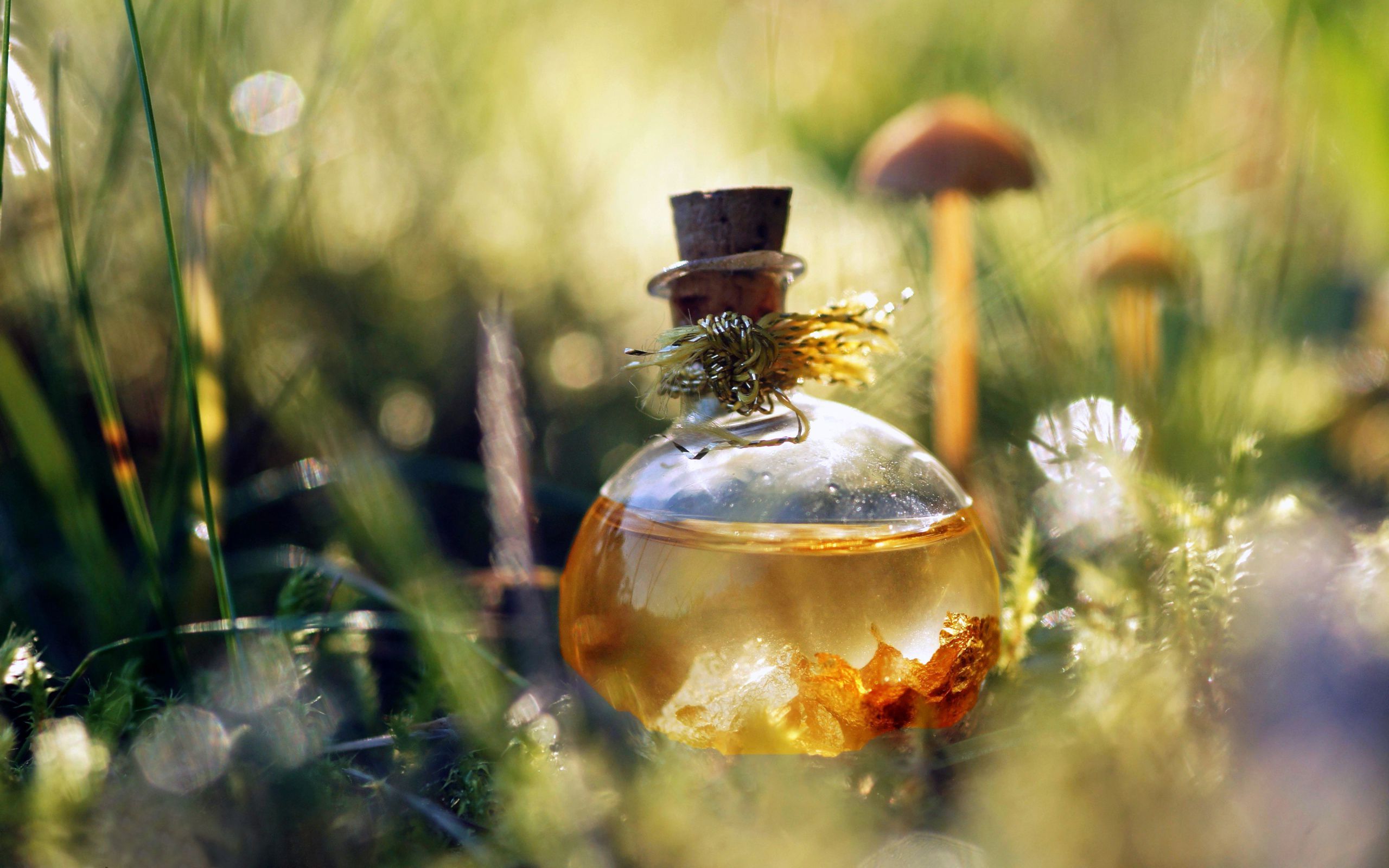 Магия аромата: как правильно заряжать парфюм? 