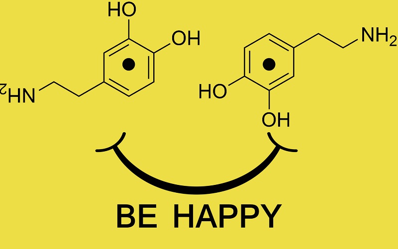 Гормон счастья дофамин - инструкция по настроению