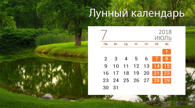 Лунный календарь стрижек на июль 2018 года