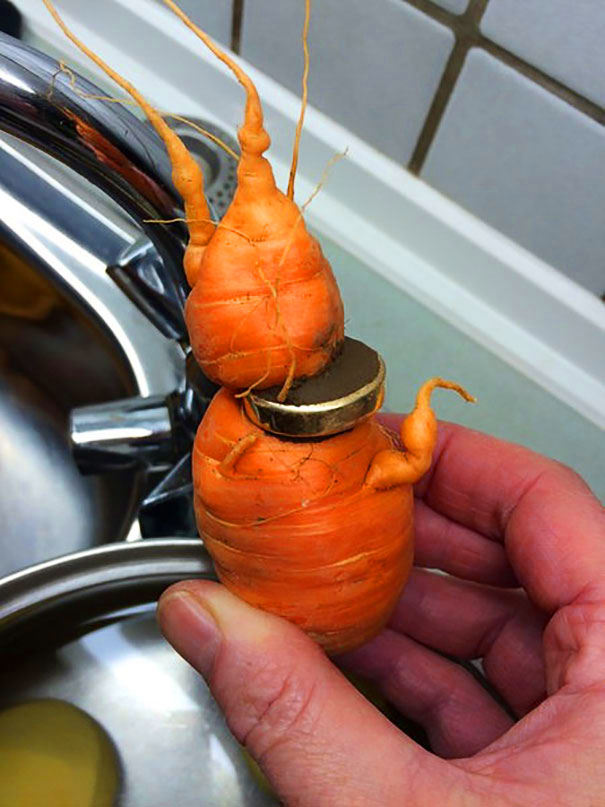 Чудо-кольцо на морковке