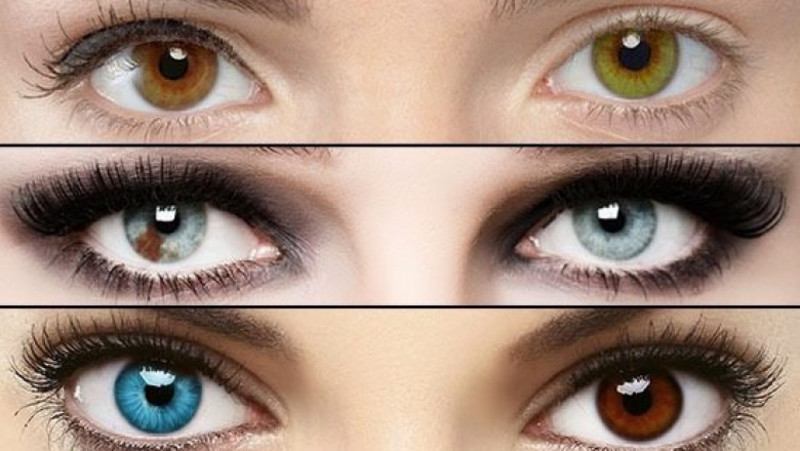 Цвет Ваших глаз — энергетический вампир вы или донор? 