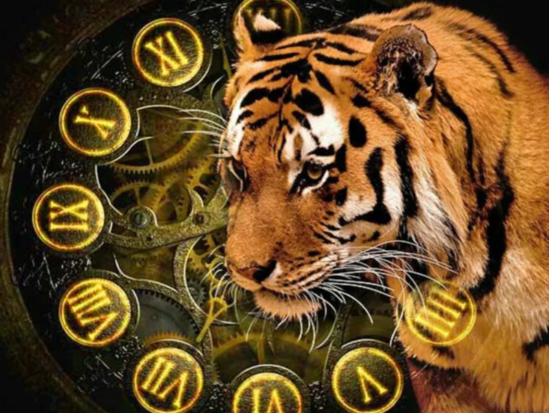 2022 год Тигра: гороскоп для всех Знаков Зодиака 