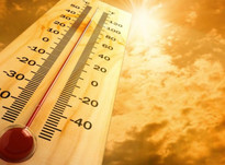 Аномальная жара в Сибири впервые за 80 тысяч лет